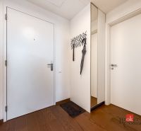 Entrance hallway in a 2-room apartment with white doors and a wooden decor floor.