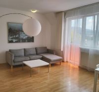 Bright living room in a 2-room apartment, sofa, table, wooden decor flooring.