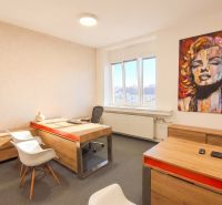 Offices with art on the walls and furniture with wood-patterned flooring.