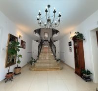 A staircase with wrought iron railing and a chandelier in a family house.