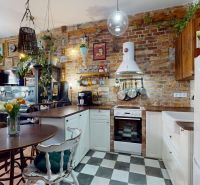 Rustic kitchen with a brick wall and lots of plants, 2-room apartment.