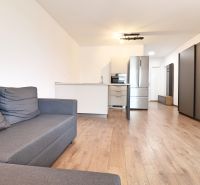 Living area in a studio apartment with wood-patterned flooring and a kitchenette.