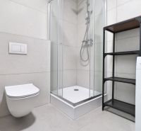 A bathroom in a studio apartment with a toilet, shower, and washing machine.
