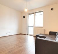Living room in a one-room apartment with a wooden decor floor and a sofa.