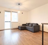 Interior of a 1-room apartment with a sofa, wood-patterned flooring, and a large window.