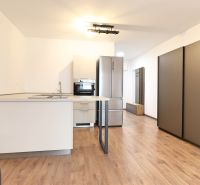 A kitchen in a studio apartment with a wood-patterned floor and modern lighting.
