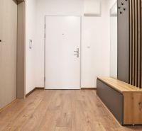 A hallway in a one-room apartment with a wooden decor floor and a wardrobe wall.