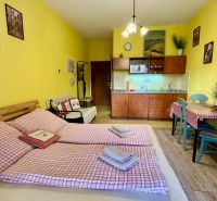 Yellow walls, kitchen unit, dining table, bed, and floor with wooden decor in the Holiday Apartment.