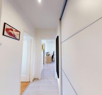 A hallway in a 2-room apartment with white walls and a wooden decor floor.