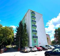 Apartment building on Palárikova Street in Senica, surroundings with greenery and parking spaces.