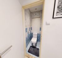 The bathroom with a toilet in the 2-room apartment has blue tiles and a decorative picture.
