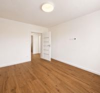 Spacious room in a 2-room apartment with wood-patterned flooring and white walls.
