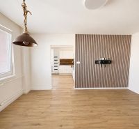 2-room apartment with wood-decor flooring, minimalist interior, bright room.