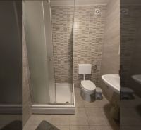 Bathroom with toilet and shower in a 2-room apartment.
