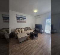 Living room in a two-room apartment with a sofa and a wooden decor floor.