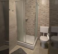 A bathroom with a modern shower and toilet in a 2-room apartment.