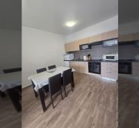 A kitchen with a wooden decor floor and a dining table in a two-room apartment.