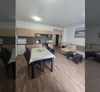 Interior of a 2-room apartment with a kitchenette and flooring with a wood decor.