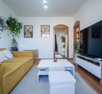 Living room of a two-room apartment with a comfortable couch and television, complemented by plants.