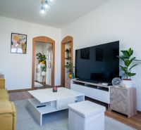 Living room in a two-room apartment with a television, plants, and a wooden decor floor.