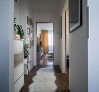 Hallway of a 2-room apartment with a wooden decor floor, plants, and decorative paintings.