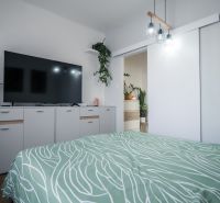 A bedroom in a two-room apartment with a wardrobe, a television, and plants on a shelf.