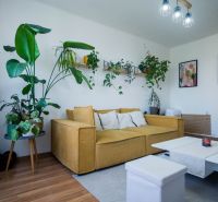 Living room in a two-room apartment with a comfortable sofa, plants, and wooden decor flooring.