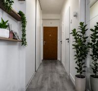 A narrow hallway of a 2-room apartment with shelves and a wooden decor floor.