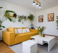 Living room with begonias and a yellow sofa in a two-room apartment.