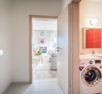 Hallway with a washing machine, bathroom, and living room in a 2-room apartment, floor with wooden decor.