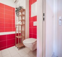 Bathroom in a 2-room apartment with red tiles and a wooden shelf.