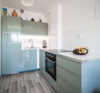 A kitchen in a 2-room apartment, with green cabinets and a wooden decor floor.