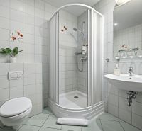 A bathroom in a family house with a toilet, shower, sink, and decorative plant.
