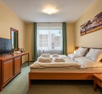 A bedroom with two beds, a television, and a painting in a family house.