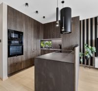 A kitchen in a 3-room apartment with a dark decor, a floor with a wooden decor, a plant, and a television.