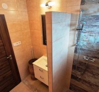A bathroom in a family house with ceramic tiles and a shower with wood decor.