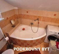 Attic bathroom with a bathtub and a washing machine, attic apartment.