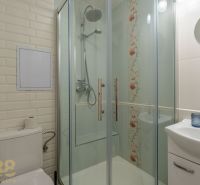 Bathroom with shower and toilet in a studio apartment.