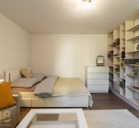 Interior of a 1-room apartment with a bed, sofa, and shelves, floor with wood decor.