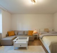 1-bedroom apartment with a sofa, bed, and wooden decor flooring.