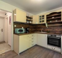 A kitchen in a studio apartment with wooden decor and light furniture.