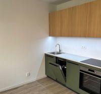 A kitchen in a 2-room apartment with built-in appliances and a floor with a wooden decor.