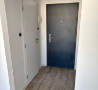 Entrance hallway with gray doors and wood-patterned flooring, 2-room apartment.