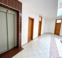 Offices with an elevator and doors, light tiles.