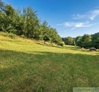 A grassy meadow in the village of Dobroč surrounded by forests and a blue sky.