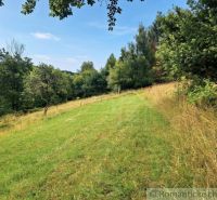 A sloped plot of land around the cottage in Dobroč with grass and forest.