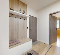 An entrance hall with a wooden decor floor, a coat rack wall, and an entrance to a room in a 3-room apartment.