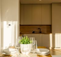 Dining table with dishes and a plant in a family house.