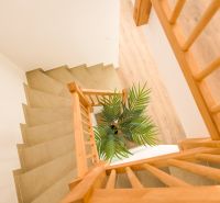 A staircase with a plant and a wooden decor floor in a family house.