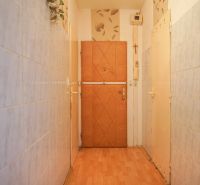 Entrance hallway in a 4-room apartment with a wooden decor floor.